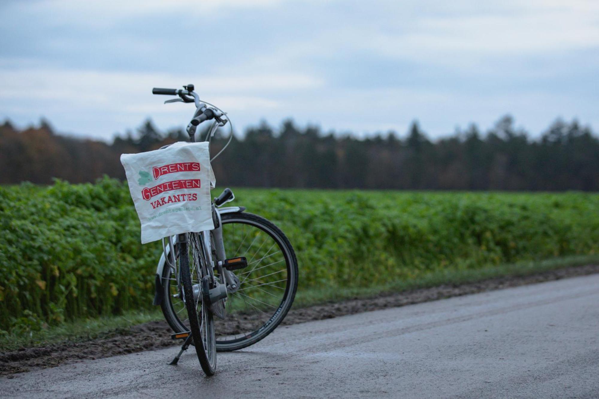 Drents Genieten - Lavendelheide Met Uitzicht Op Het Water Erm Exterior foto